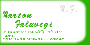 marton faluvegi business card